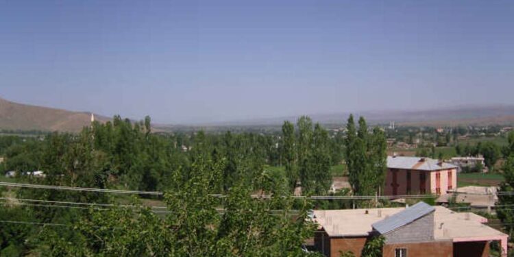 LEAD Technologies Inc. V1.01